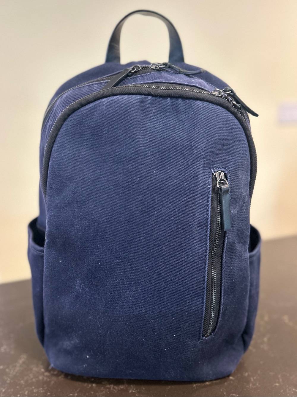 Everlane Modern Commuter Canvas Backpack